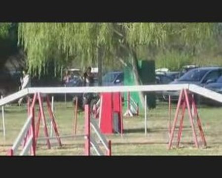 Umberto agility Mouries