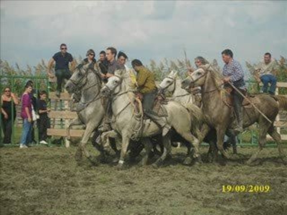 journee taurine de bachucha aux correges le 19 09 09