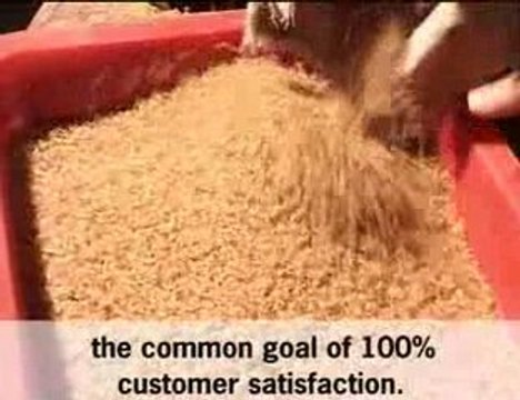 Seed Cleaning Machines, Camera Sorter