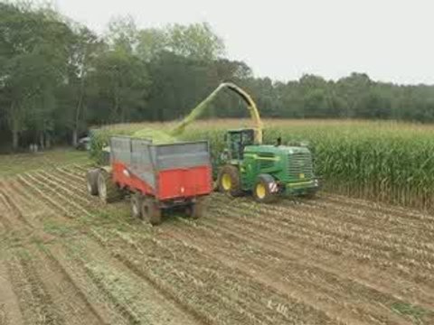 Ensilage maïs 4 mètres de haut avec une ensileuse 7450i