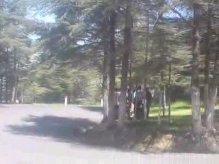 algerie course de cote de chrea 2009