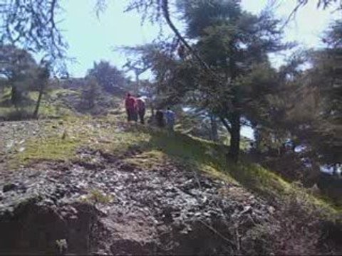 algerie course de cote chrea 2009