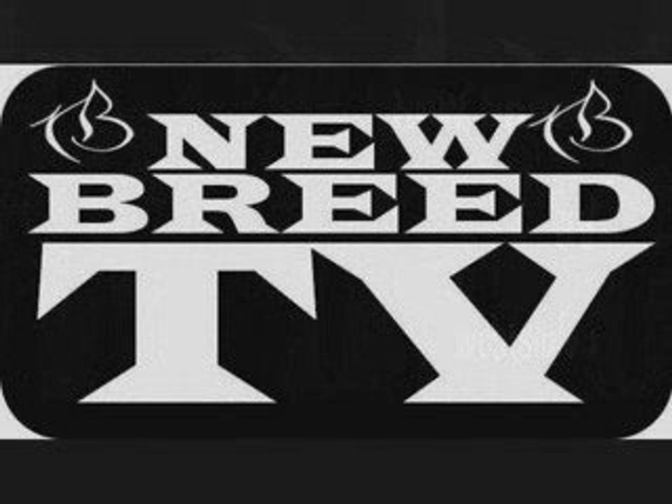 New Breed TV- Featuring Young Hu$tle (Dipset) K.O., Eskae