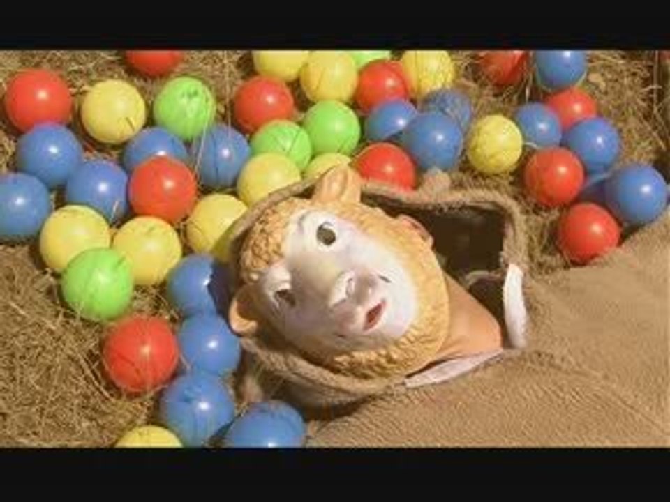 el botcho millionaire