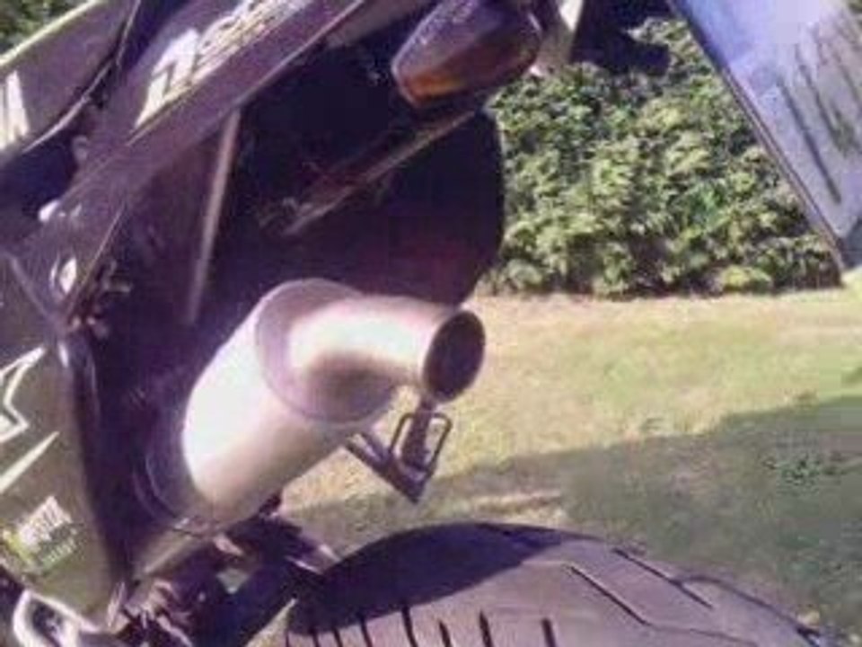 DT monster pot yasuni cross ML