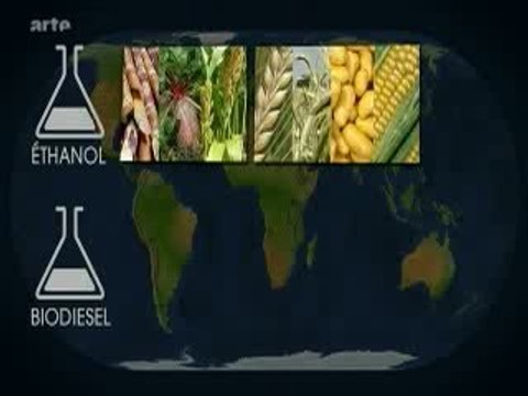 Une alternative, les biocarburants ?