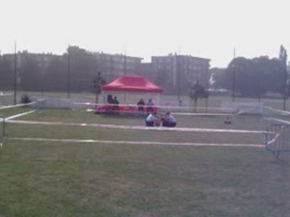 Concours obé rythmée à Aulnay sous bois