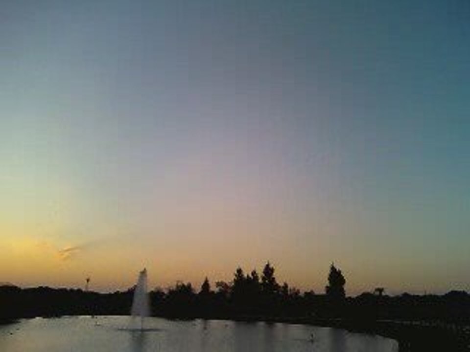 parc ornitho ds le sud