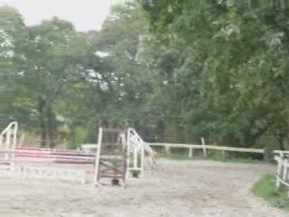 Loupiot & Moi , club 2 Pont L'abbé