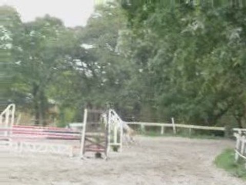 Loupiot & Moi , club 2 Pont L'abbé