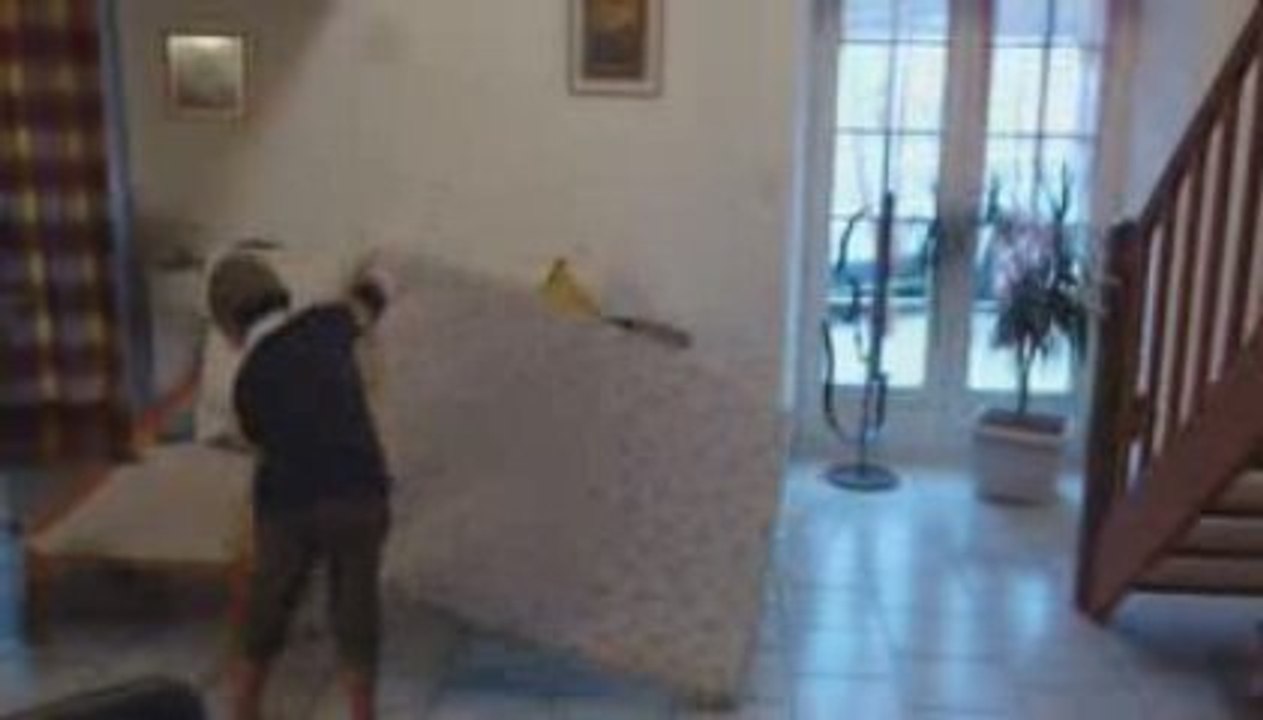 le matelas les freres Taloches par les freres Hauchard