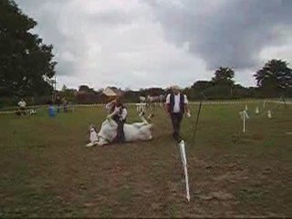 journée du cheval 2009/2