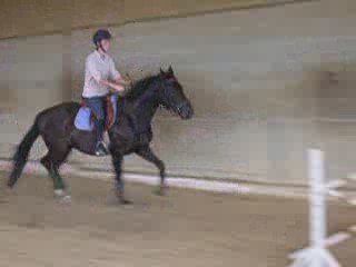 rollers saute 60cm bien