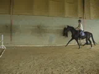 rollers 60cm bien