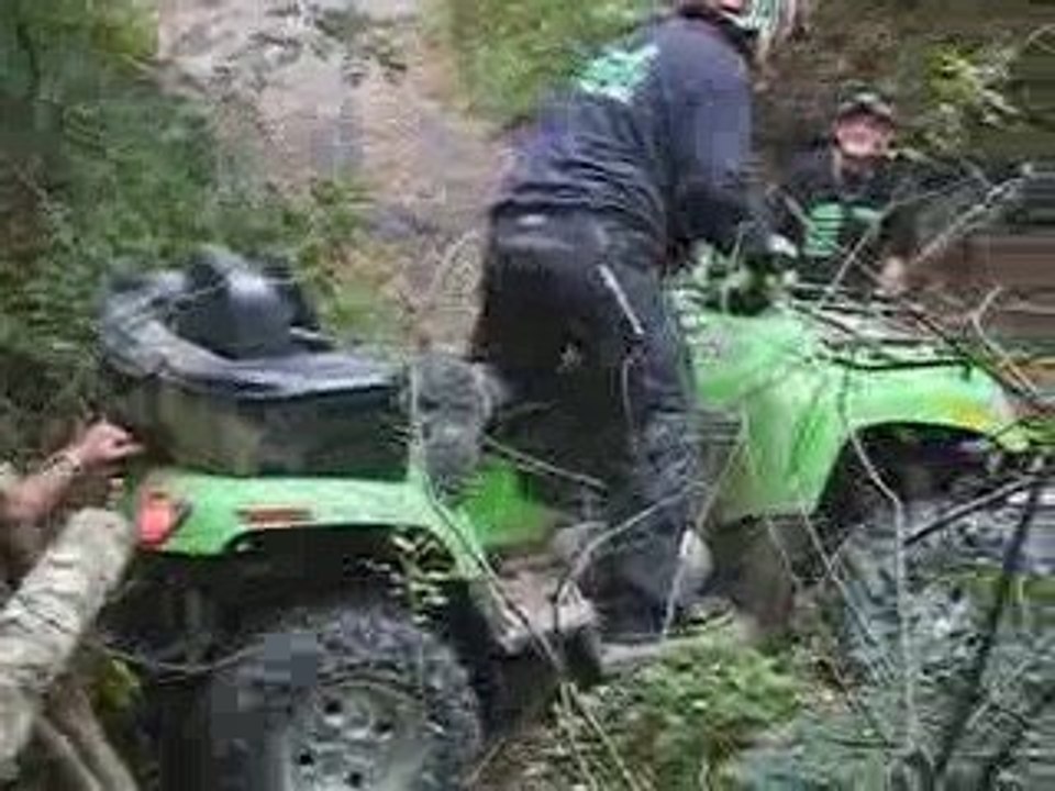 arctic cat au treuil quad