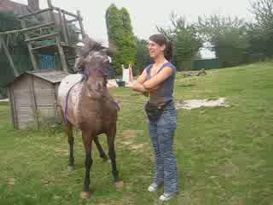 Sucette dit non (1)