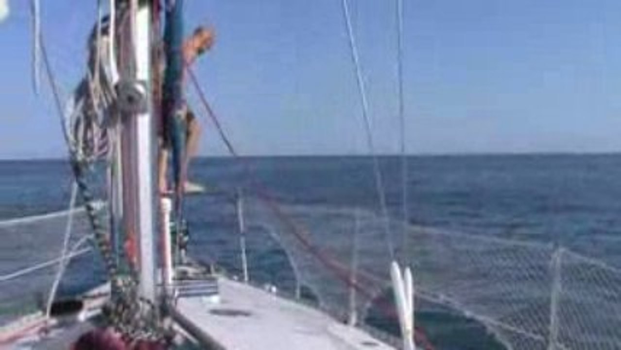 Sur le yacht