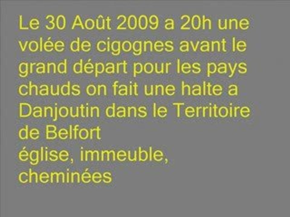 Des Cigognes à Danjoutin Territoire de Belfort