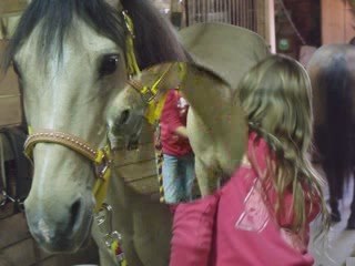 notre soirée avec nos chevaux