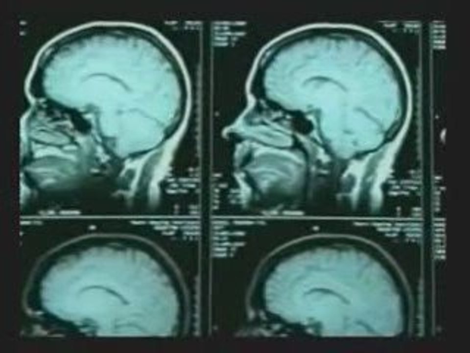 Miracles du Coran, La Région Responsable de nos Mouvements