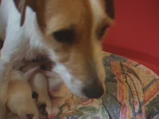 bébés du 11 septembre 2009