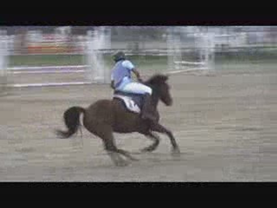 matthias en club poney 2