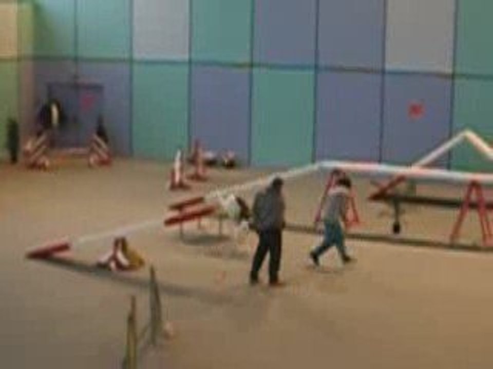 Vanouchka en concours d'agility