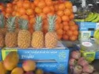 Facebook   Vos vidéos   LE SHOUK HACARMEL  N°2 FREDDY GALULA