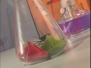 Влияние оксида серы(IV) на растения