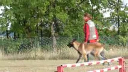 brevet Diuke des nuits des rêves 14 mois