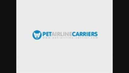 Pet Airline Carrier