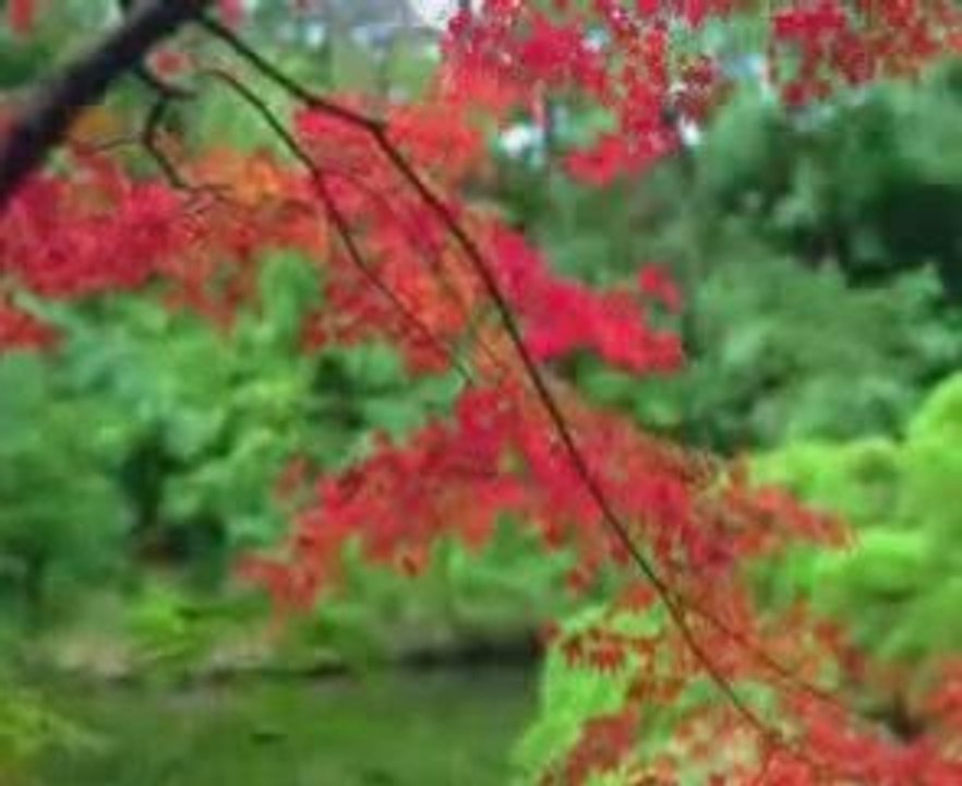 Can Yücel Seninle Olmanın En Güzel Yanı by GonulAdami