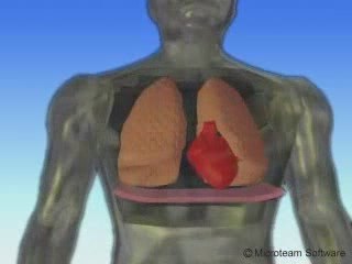 الضغط الجوي