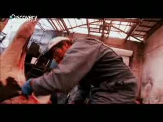 Brudna robota - trailer