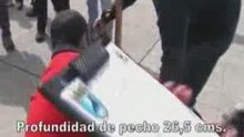 Apto Cría de Sumeria Von Der Karlo