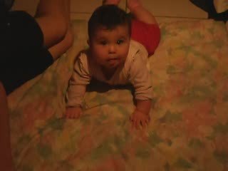 mon premier 4 pattes