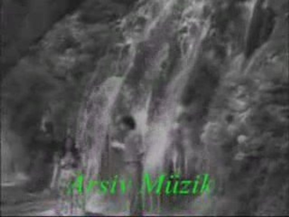 HAYMANALI 0663