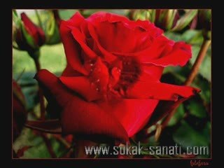 Dj Ateş Çekip Gitmeyecektin.