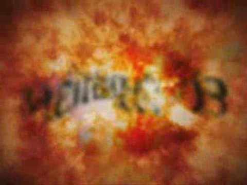 Видео-съёмка свадеб и других событий в Тюмени