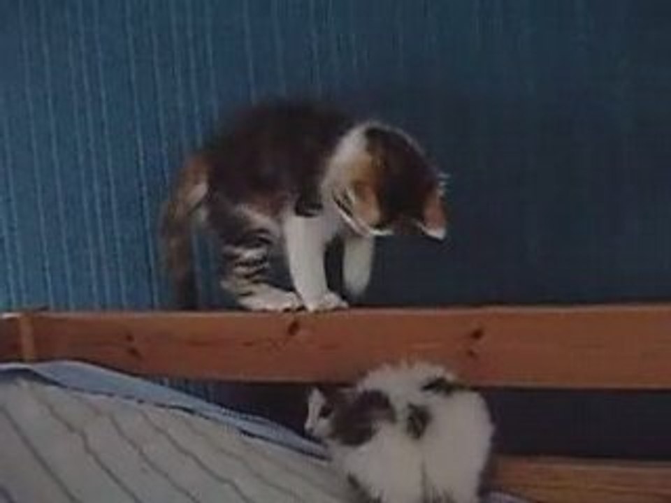 Raja la pas douée et pas sociale