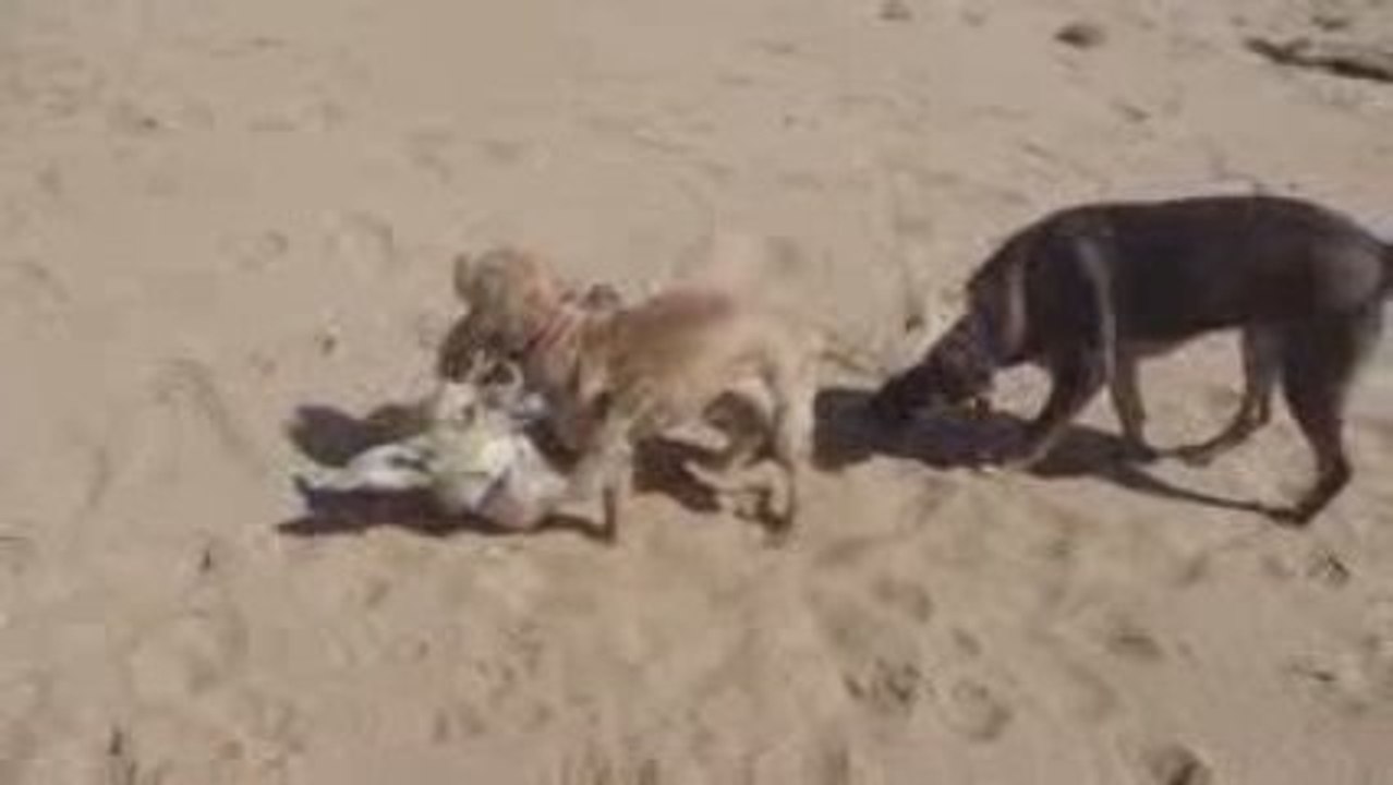 Lulu retrouve sa jeunesse avec Elliot 21.09.2009