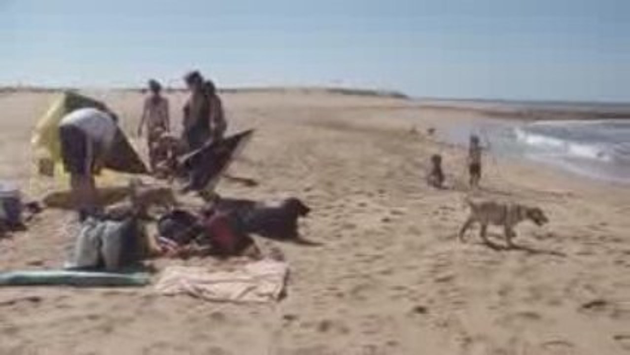 Lulu se baigne avec Elliot, Ln regarde, Rama se repose 21.09