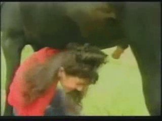 bu hayvan çok cidddi şaka kaldırmıyor