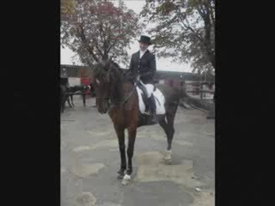 Dressage Amateur 3 Imposée B, Michèle et Inivin