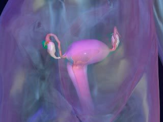 PMS - Causes of Premenstrual Syndrome