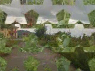 Trabzon fotoğrafları