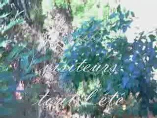 **Petits ecureuils**