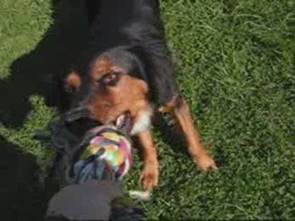 zyon jeux et education