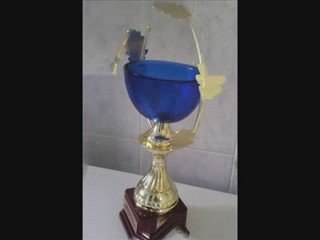 Festival Crèvecoeur Le Grand