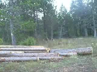 Chasse 2009